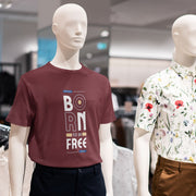 born_to_be_free maroon 3